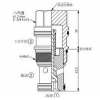 CV-19A-21-03-N,CV-19A-21-10-N,CV-19A-21-20-N,CV-19A-21-50-N,CV-19A-21-70-N,winner單向閥