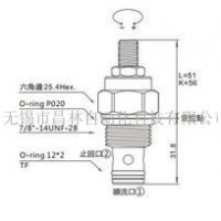 CCN-102-LAN,CCN-102-LCV,CCN-102-KEN,CCN-102-KAV,CCN-102-KCV,CCN-102-LCN,CCN-102-LEN,CCN-102-LAV,CCN-102-LEV, CCN-102-KAN,CCN-102-KCN,CCN-102-KEV,單向閥(口1通口2自由流,附調(diào)整桿)